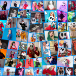 #ShyGalGang: Hundreds of  Cosplayers Pull Epic April Fools’ Cosplay Prank