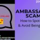 [DeLa Doll] Ambassador Scams: How to Spot Them